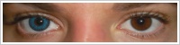 FreshLook ColorBlends / Briliant blue -