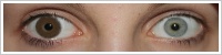 Durasoft 3 Colors / Chesnut brown -