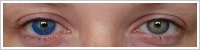 Acuvue 2 Colours - krycí / Safírová -