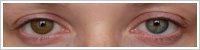 Acuvue 2 Colours - krycí / Medová -