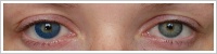 Acuvue 2 Colours - krycí / Modrá -