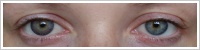 FreshLook ColorBlends / Amethyst -