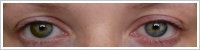 Acuvue 2 Colours - krycí / Zelená -